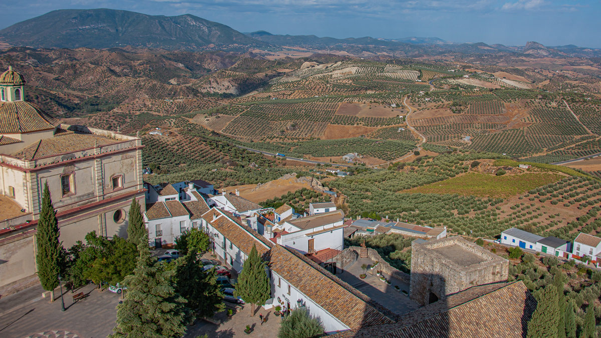 Vista Oeste desde la cubierta de la torre del homenaje